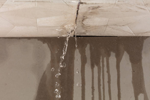 Professional Water Damage Repair technician working in Quantico, VA